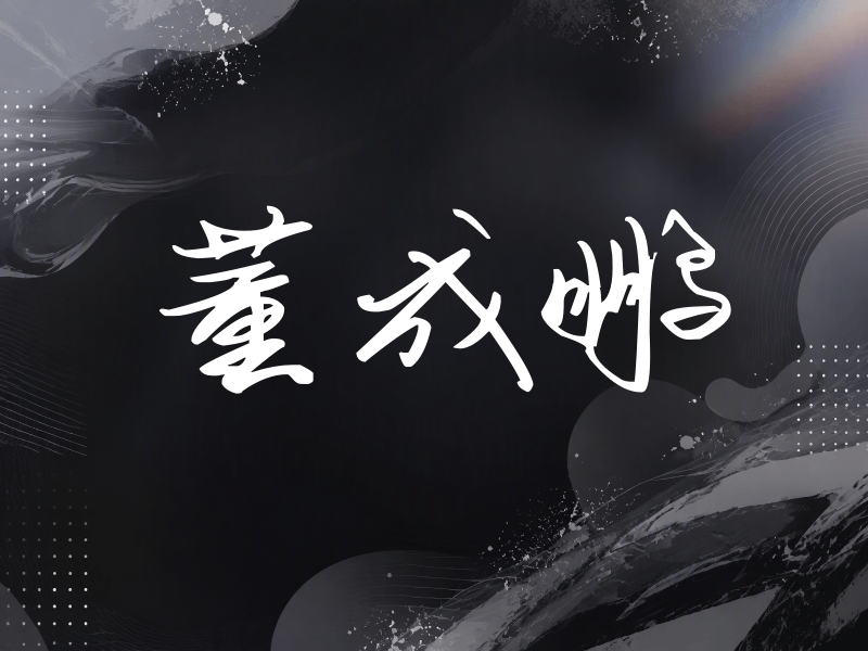 董成鹏签名（时尚签）