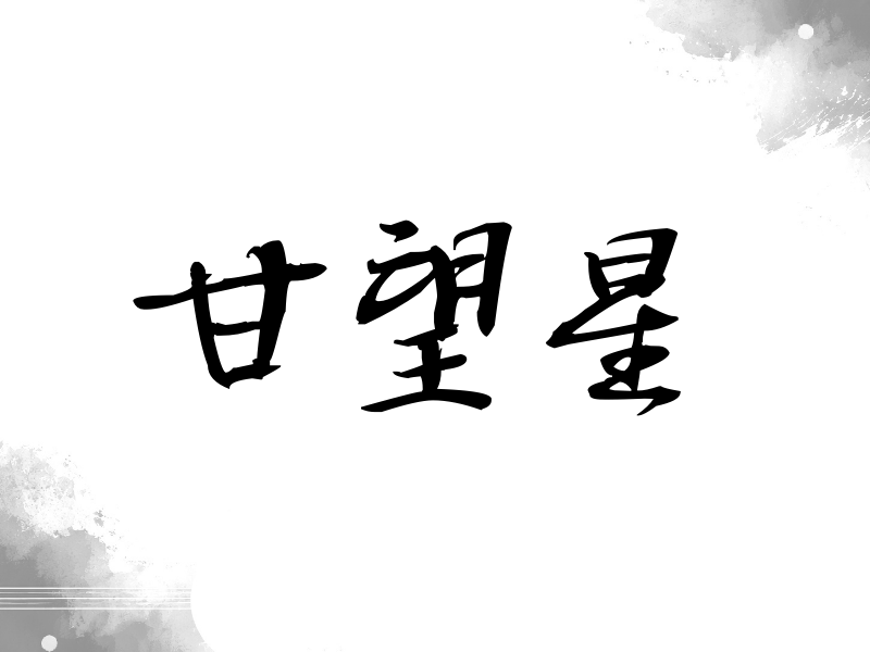 甘望星签名（公务签）