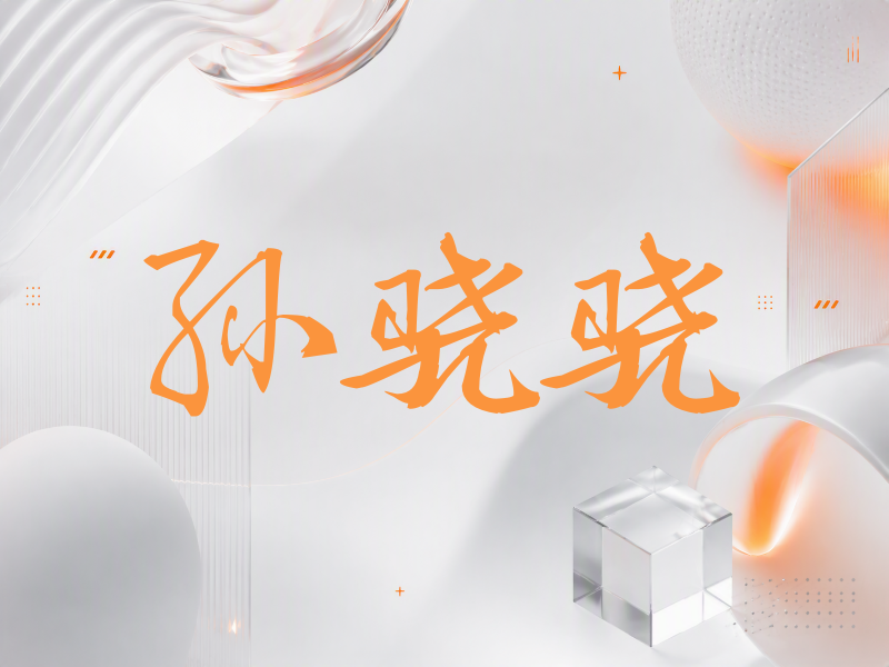 孙骁骁签名（公务签）