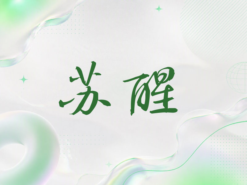 苏醒签名（公务签）