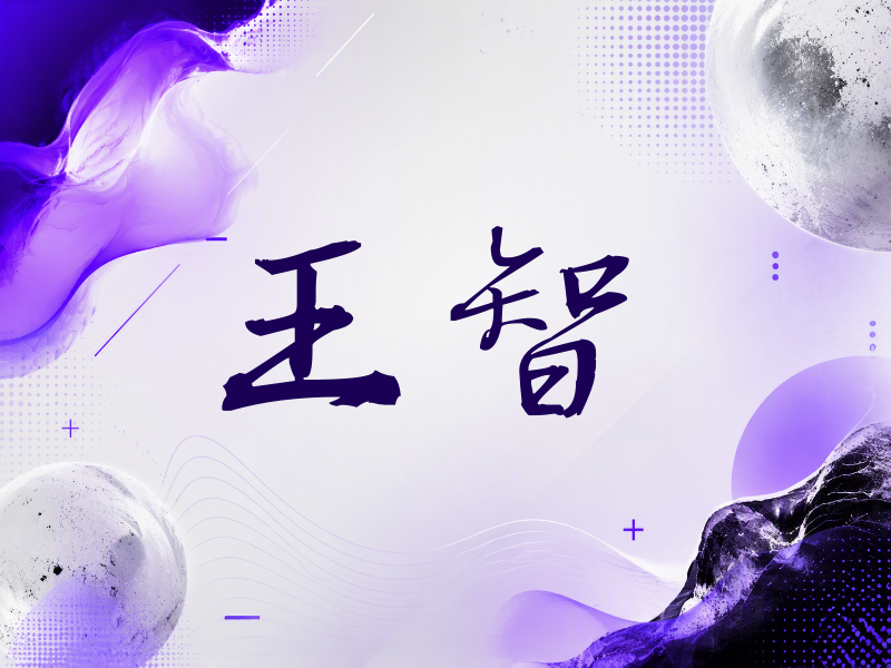 王智签名（公务签）