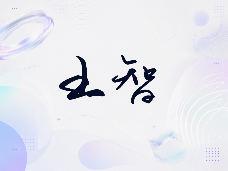 王智签名（时尚签）