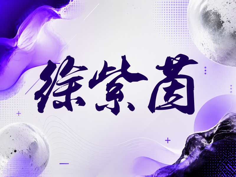 徐紫茵签名（刀锋世界）