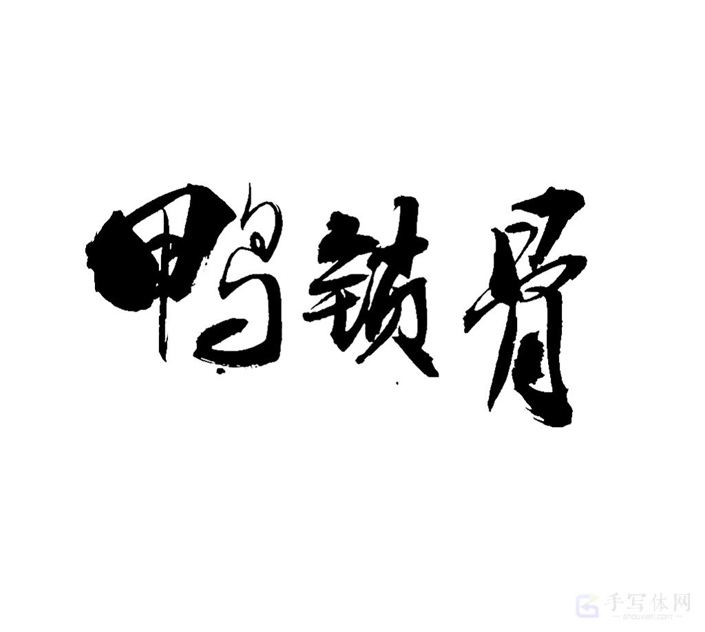 鸭锁骨原创书法作品