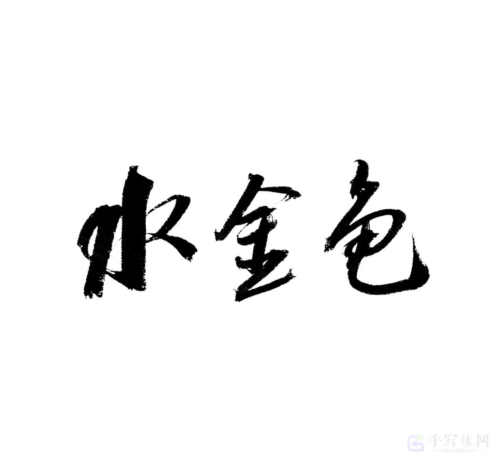 水金龟原创书法作品