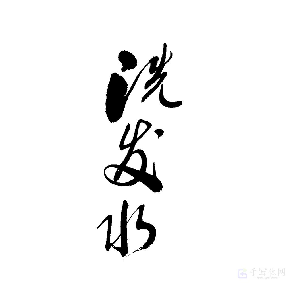 洗发水原创书法作品
