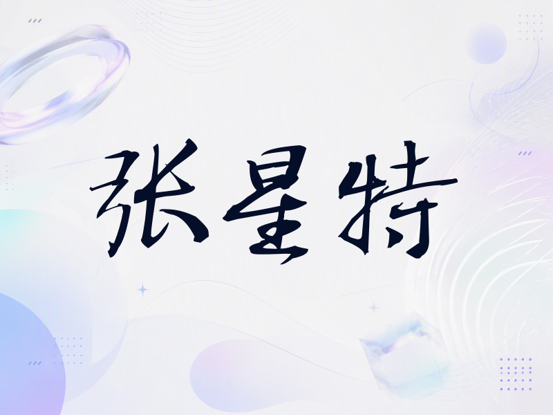 张星特签名（公务签）
