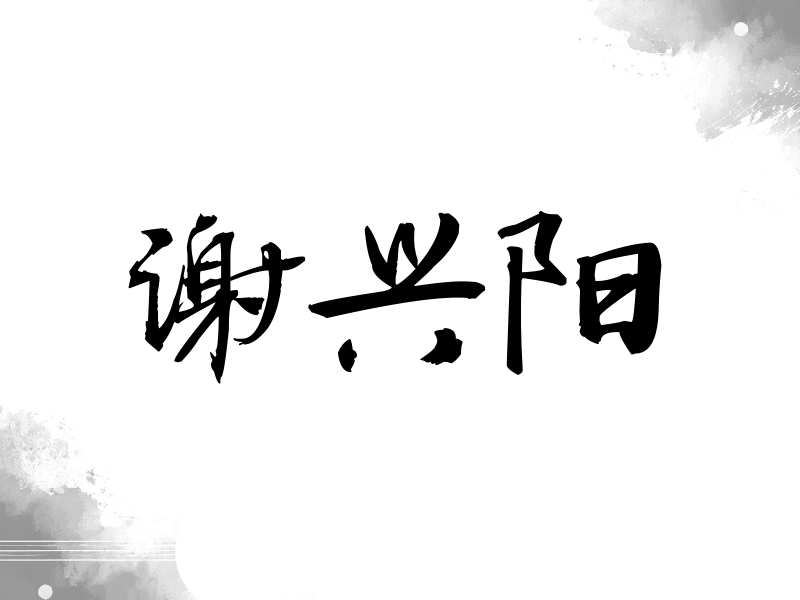 谢兴阳签名（公务签）