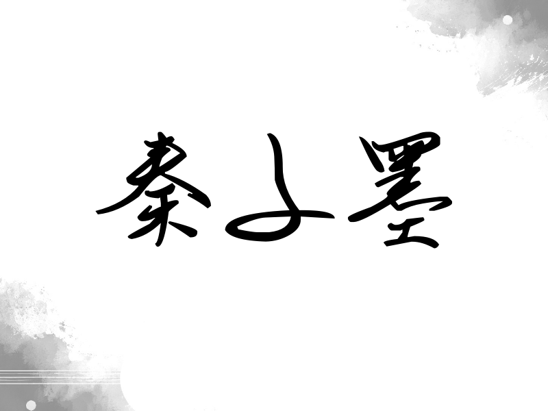 秦子墨签名（时尚签）