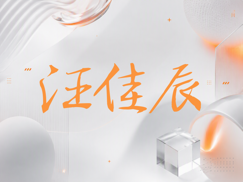汪佳辰签名（公务签）