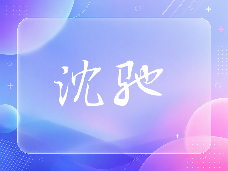 沈驰签名（公务签）