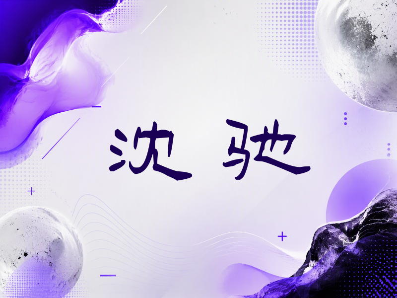 沈驰签名（签名体）
