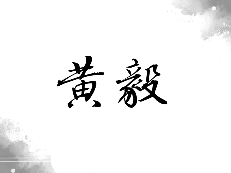 黄毅签名（公务签）