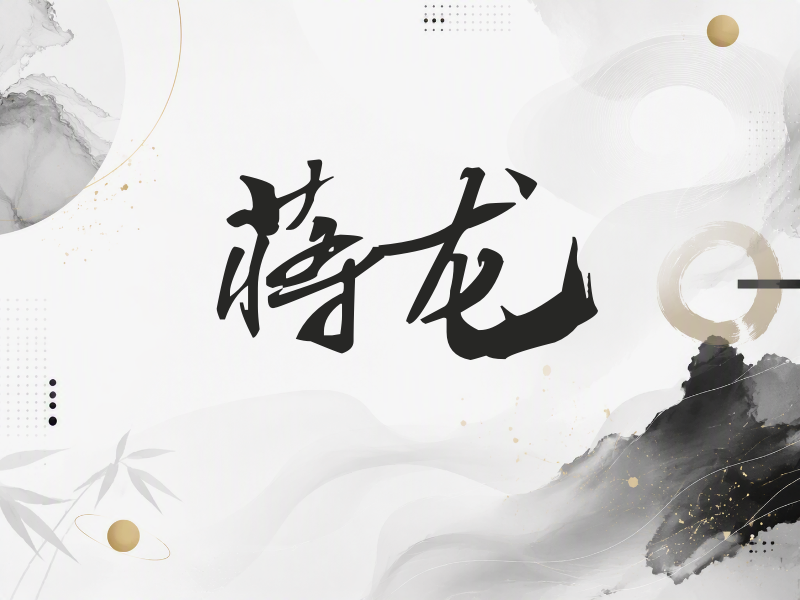 蒋龙签名（连笔书法）