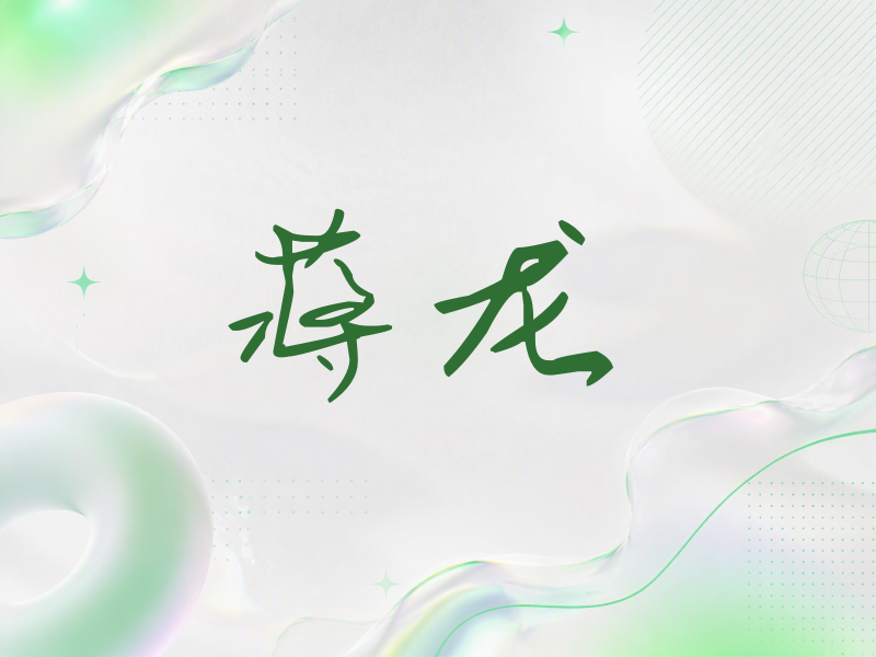 蒋龙签名（时尚签）