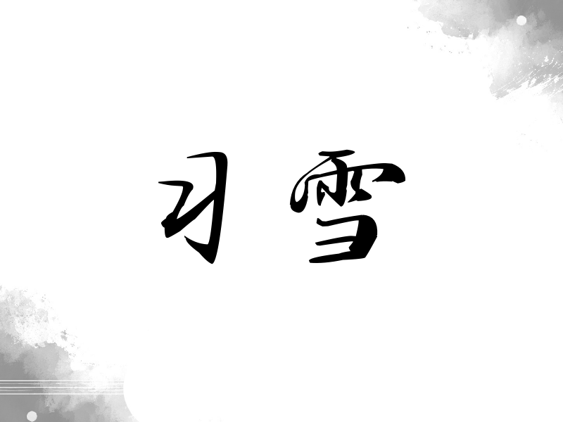 习雪签名（公务签）