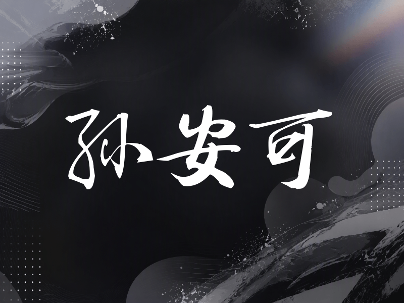 孙安可签名（公务签）