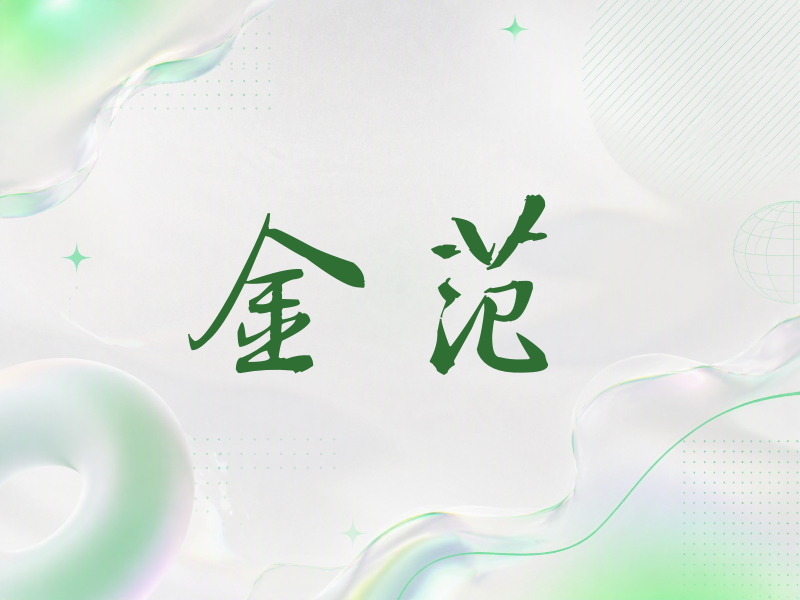 金范签名（公务签）