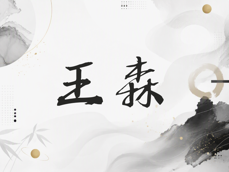 王森签名（公务签）