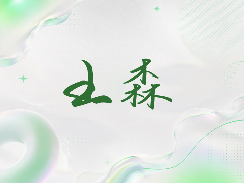 王森签名（时尚签）