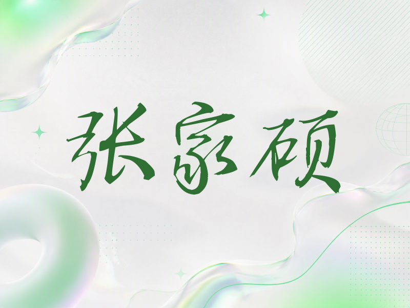 张家硕签名（公务签）