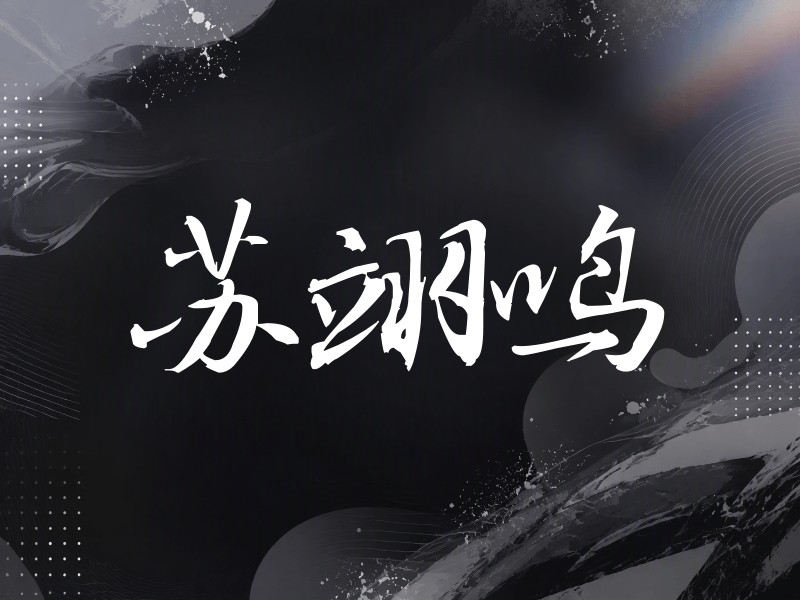 苏翊鸣签名（公务签）