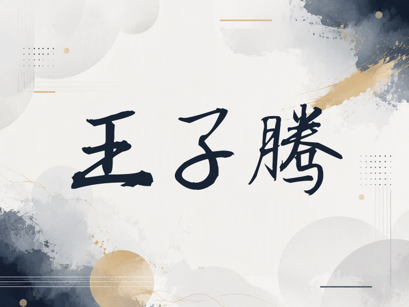 王子腾签名（公务签）